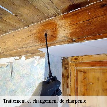 traitement-et-changement-de-charpente-3