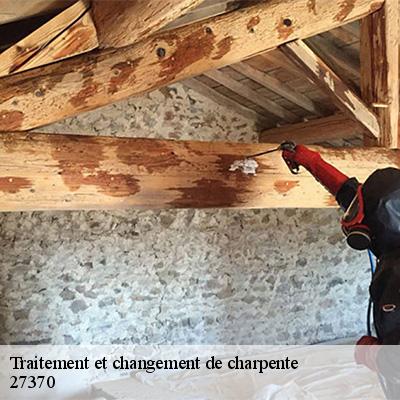 traitement-et-changement-de-charpente-8