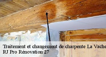 traitement-et-changement-de-charpente-1