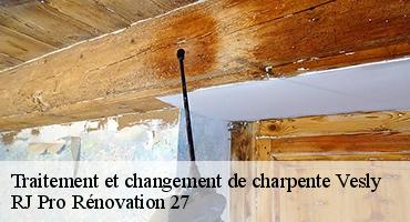 traitement-et-changement-de-charpente-1
