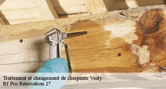 traitement-et-changement-de-charpente-7