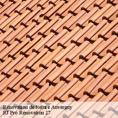 renovation-de-toiture-4