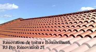 renovation-de-toiture-1