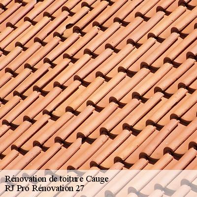 renovation-de-toiture-4