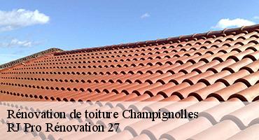 renovation-de-toiture-1