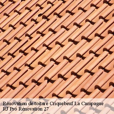 renovation-de-toiture-4