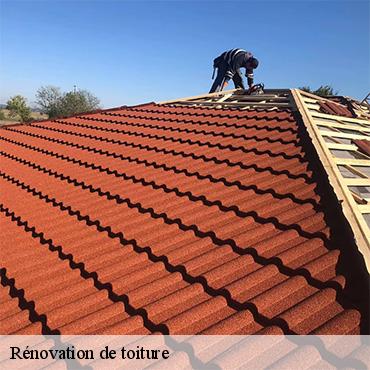 renovation-de-toiture-3