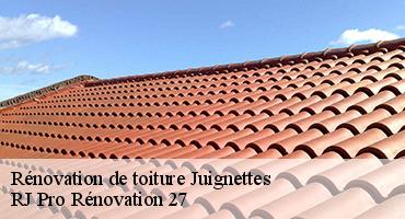 renovation-de-toiture-1