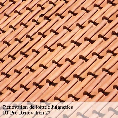 renovation-de-toiture-4