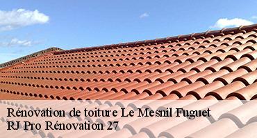 renovation-de-toiture-1