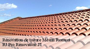 renovation-de-toiture-1