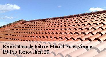 renovation-de-toiture-1