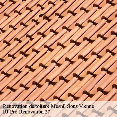 renovation-de-toiture-4