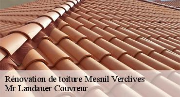 renovation-de-toiture-1