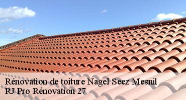 renovation-de-toiture-1