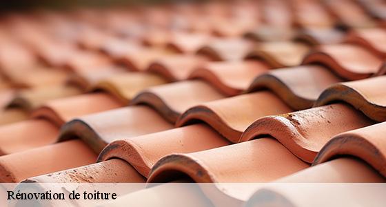 renovation-de-toiture-6