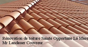 renovation-de-toiture-1