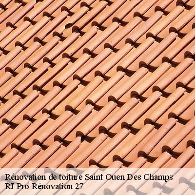 renovation-de-toiture-4