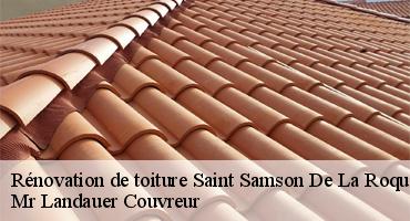 renovation-de-toiture-1